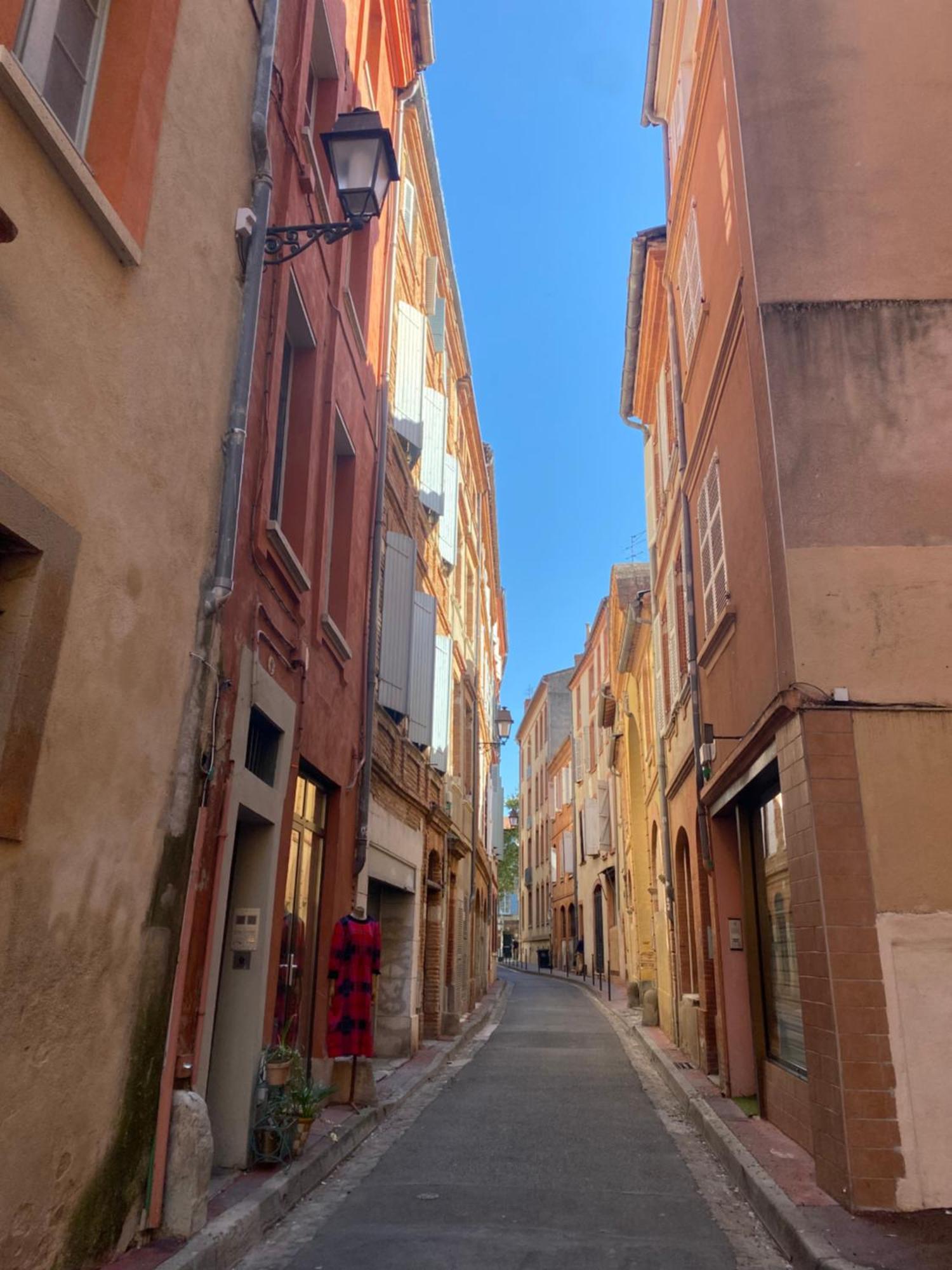 Duplex Aux Carmes Apartment Toulouse Bagian luar foto