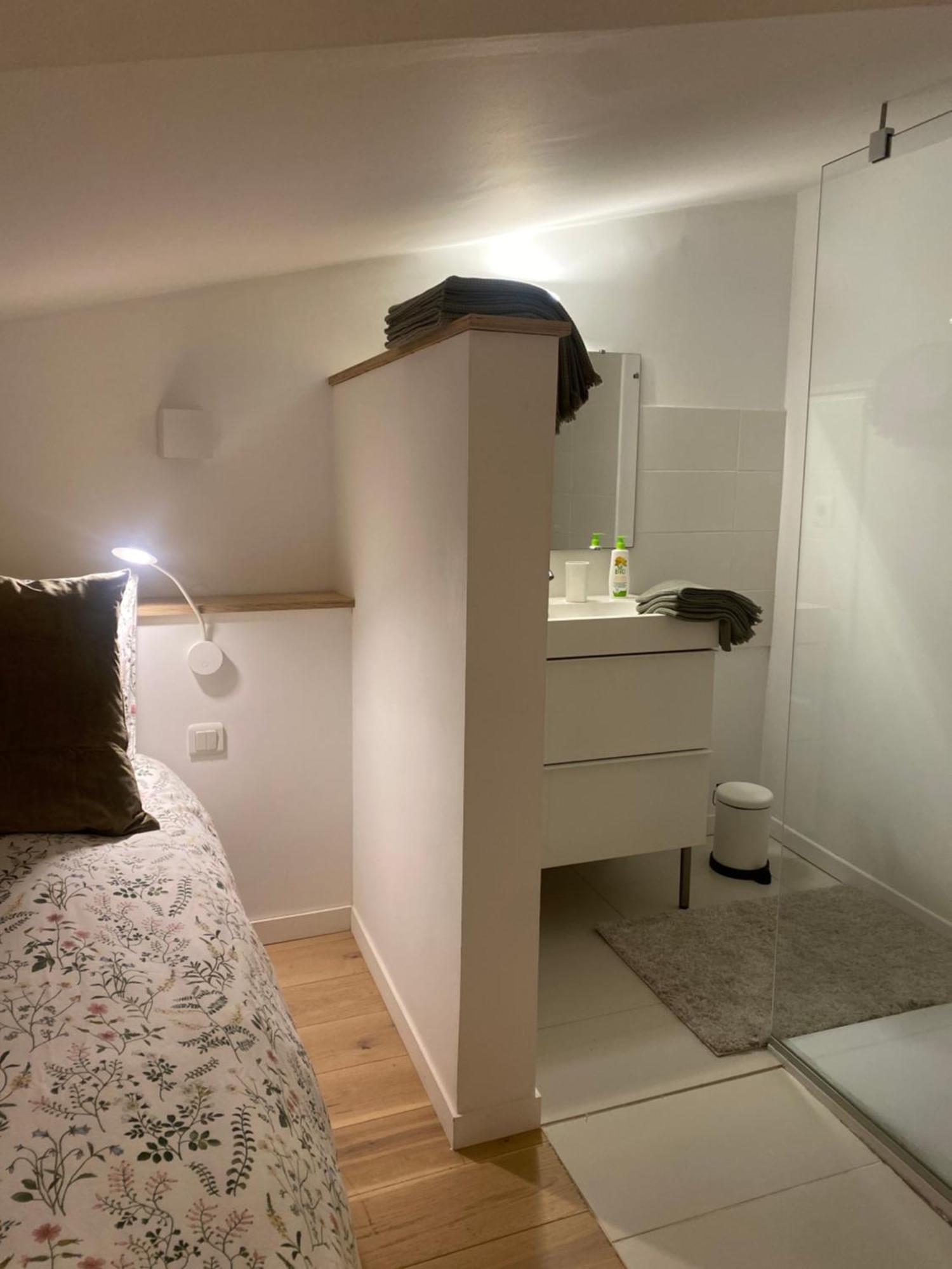 Duplex Aux Carmes Apartment Toulouse Bagian luar foto