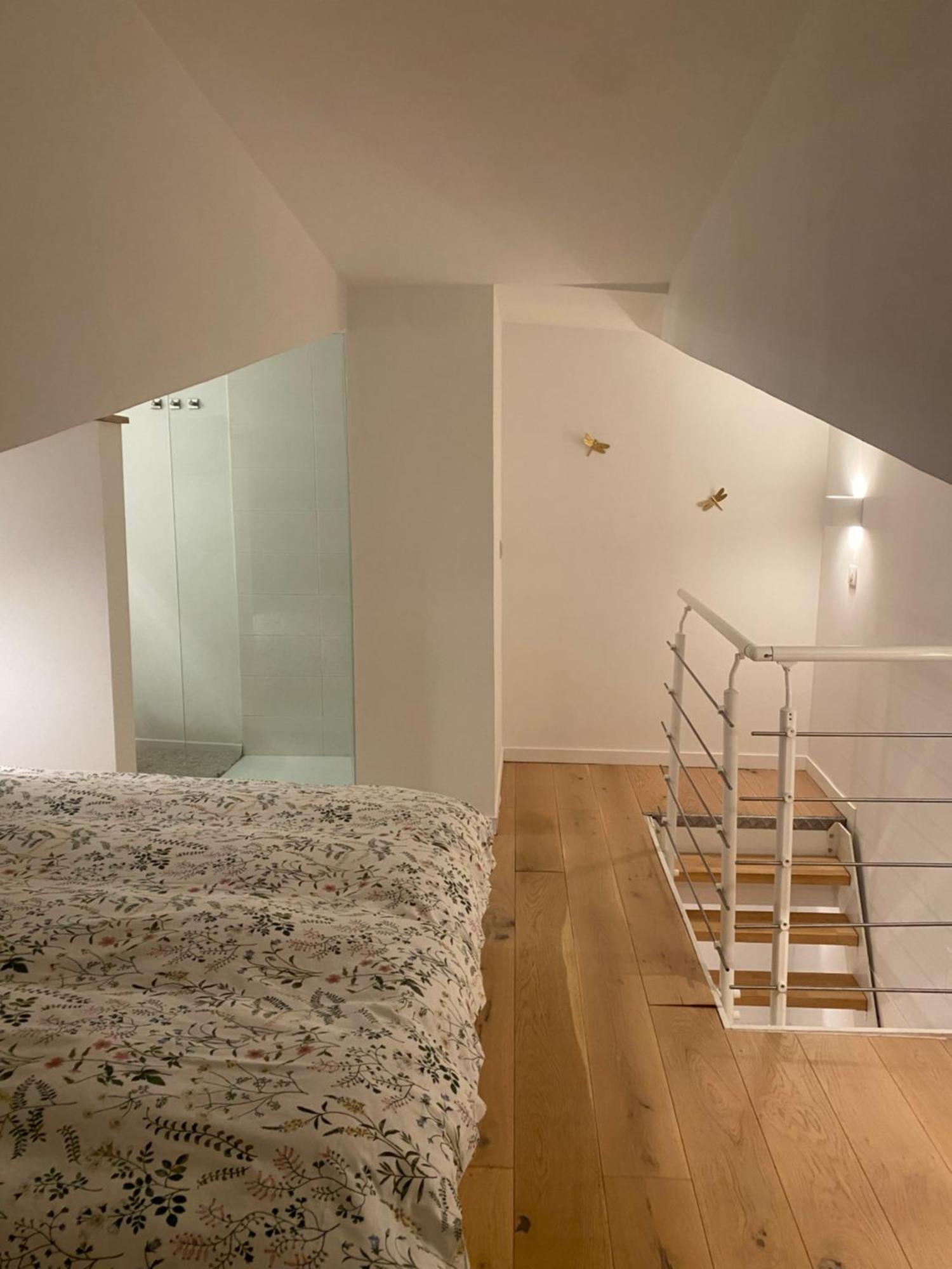 Duplex Aux Carmes Apartment Toulouse Bagian luar foto