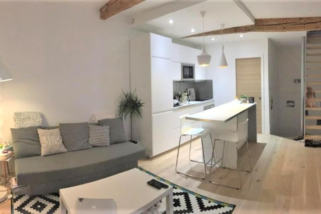 Duplex Aux Carmes Apartment Toulouse Bagian luar foto